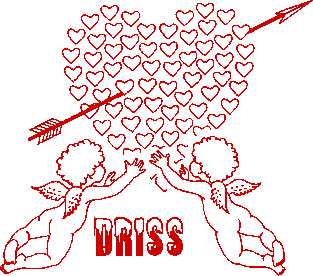 DRISS